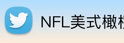 NFL美式橄榄球 logo